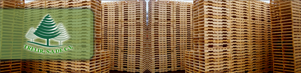 Productos