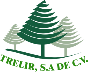 TRELIR, S.A. DE C.V.
